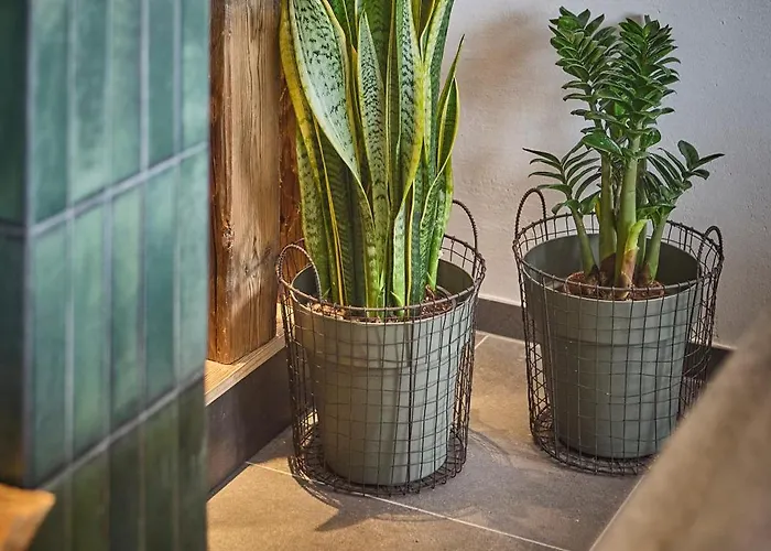 Almhuette Auszeit - Neueroeffnung Dezember 2025 * Saalbach-Hinterglemm