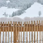شاليه Almhuette Auszeit - Neueroeffnung Dezember 2025 *